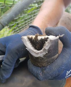 hoof clay filling a seedy toe cavity