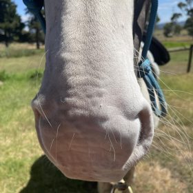 sunscreen powder applied